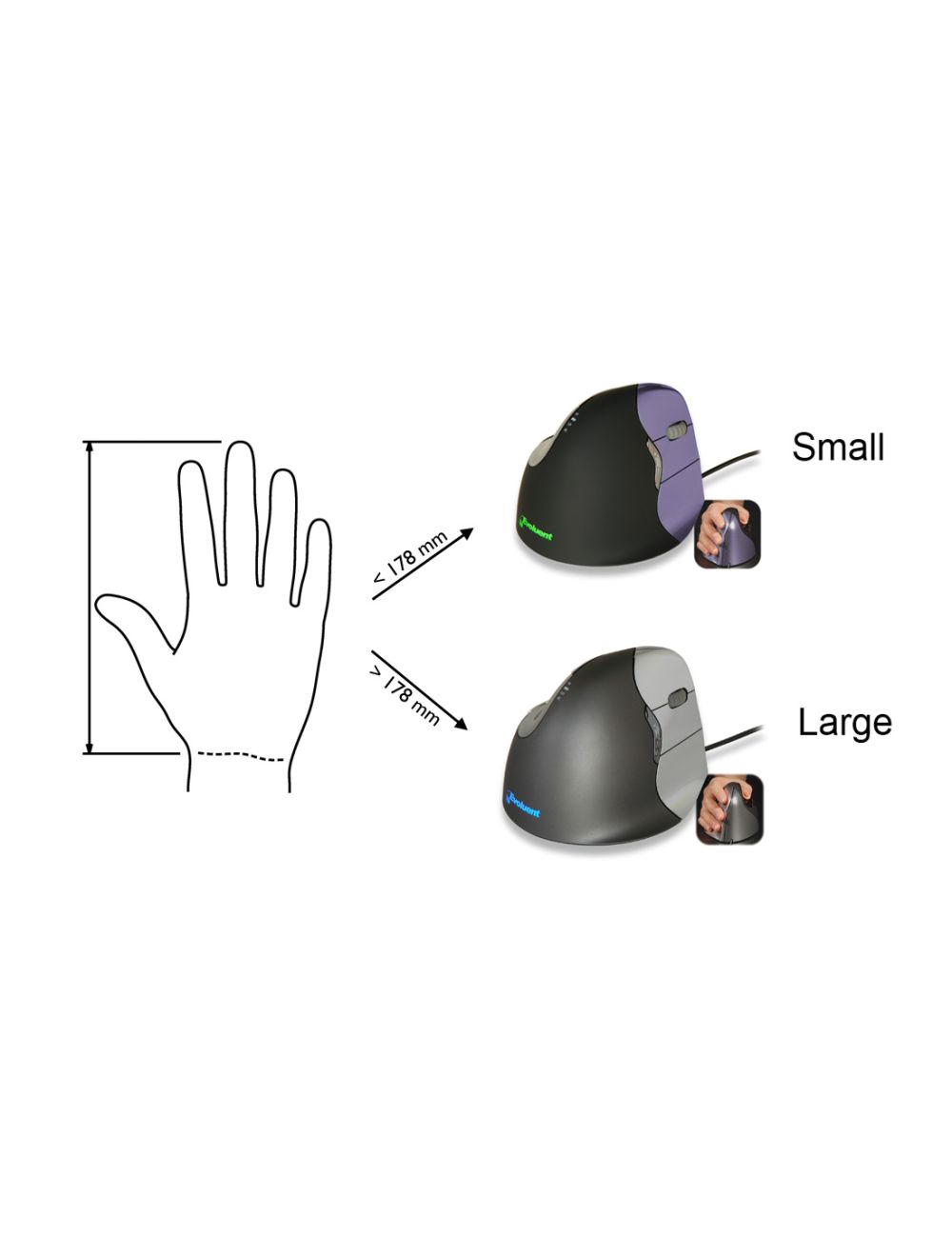 Dimensions et tailles