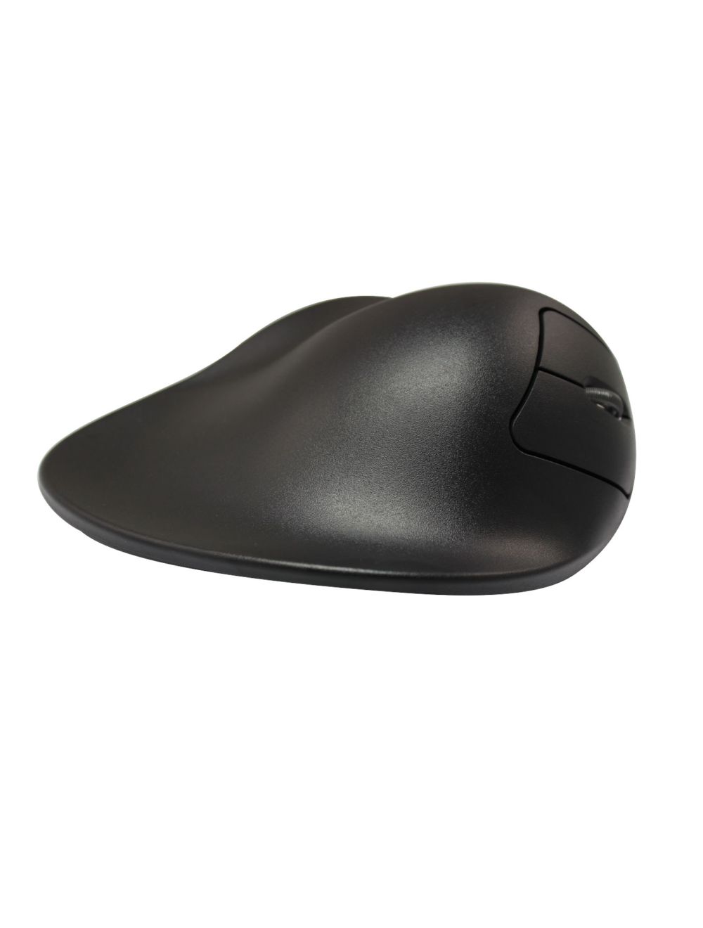 Vue de l'angle de pronation 1