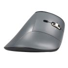 Souris Fast Forward - Fast Forward Pro