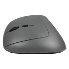 Souris Midway