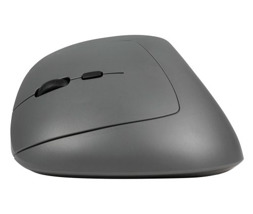 Souris ergonomique - Souris Midway
